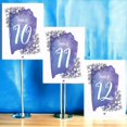 thumbnail image 3 of Purple Hand Painted 1-100 Wedding Table Number Cardss Double Sided Paper Cardss For Reception Events Parties Baby Shower Birthday 4x6 Inch, 3 of 3