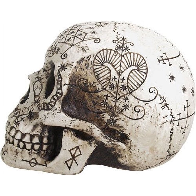 THE SKULL DISK DAMNGOOD!! × NATURE TONES DS. DISTINCTIVE STYLE Night Light Dimmable Lamp 3D Skull