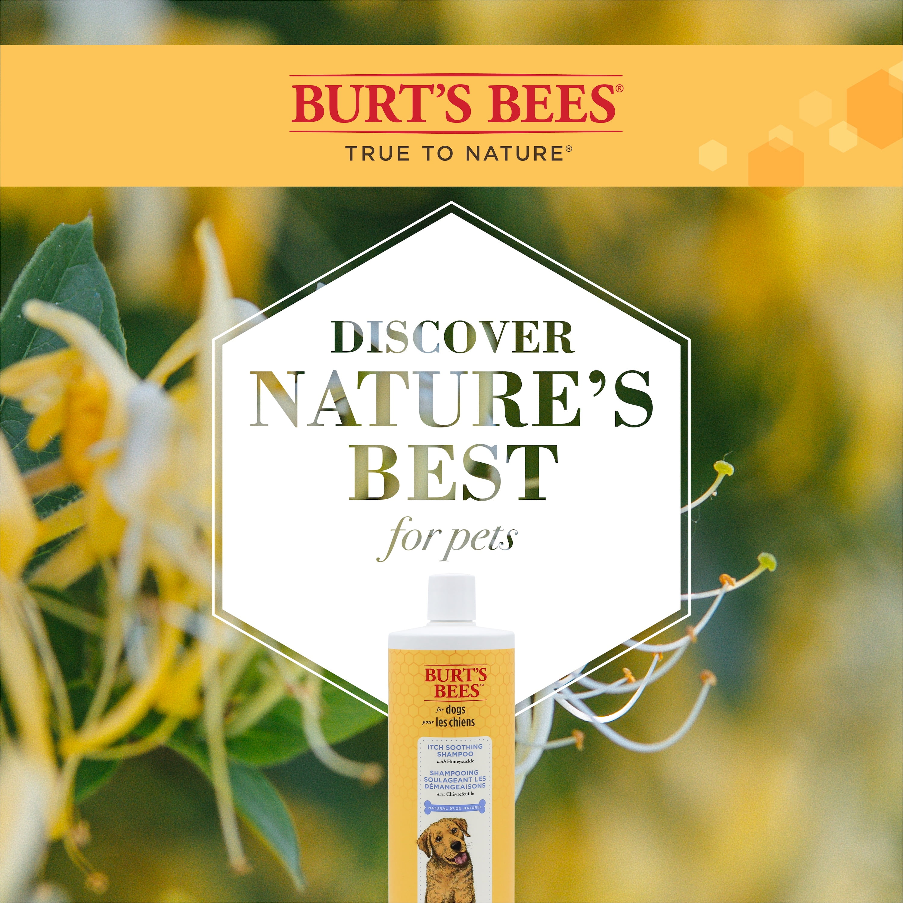 Burt's Bees Itch Soothing Dog Shampoo with Honeysuckle