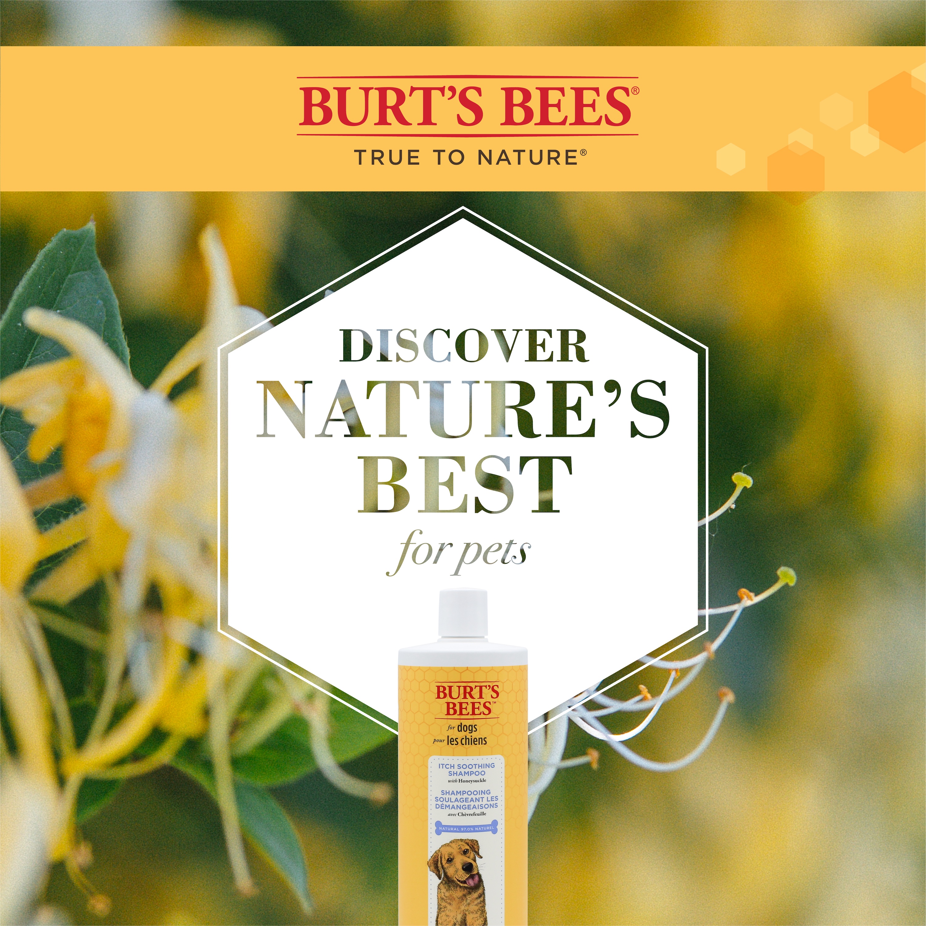 Burt's Bees Itch Soothing Dog Shampoo, Honeysuckle photo 2