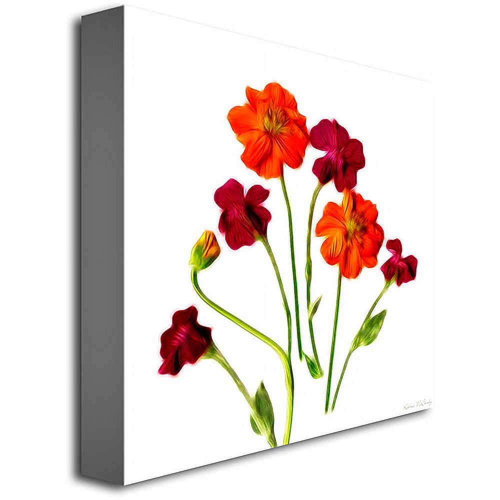 Trademark Art "Orange Cosmos" Canvas Art by Kathie McCurdy