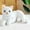 A, variant on Cute Funy Gift 2023 Clearance Toy 11.8IN Cat Stuffed Animals Soft Cat Plush Stuffed Animals Toy for Kids Christmas Gift for Kids