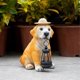thumbnail image 3 of Garden Dog Statues - Adorable Resin Dog Figurines with Straw Hat and Solar LED Lantern, Puppy Decor Outdoor Solar Light, 3 of 5