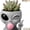Type-d, variant on Fun Alien-Faced Planter, Resin Head Flower Pot for Indoor Succulents & Cacti, Cute Desk Decor with Smile, Unique Gift for Gardening Lovers