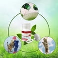 thumbnail image 4 of Xinyat Bubble Blower Bubbles For Indoor Bubbles Machine Bubbles With Bubble Blower Scented Activity Living Yard Cat Kitten Interactive Toys 120ml, 4 of 9