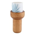 thumbnail image 4 of Limpiador de Cuerdas de Guitarra, Mini Lubricante Portátil para cuerdas de Guitarra, Forma de Cepillo Antioxidante, Cera para Cuerdas de Guitarra para laúd de Guitarras, 4 of 7