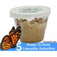 Butterfly Growing Garden Kit Butterfly Habitat Net Cage Collapsible