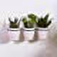 thumbnail image 5 of nipocaio Support de Pot de Fleurs Suspendu, Support de Plante pour Balcon Intérieur Décoration Extérieure Murale, 5 of 5