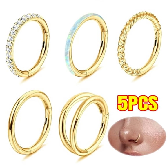 Nose Hoop Ring Sets Hinged Segment Ring Seamless Clicker Ring 18G 16G Septum Jewelry Conch Helix Cartilage Daith Rook Tragus Lobe Hoop Earrings