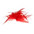 thumbnail image 1 of Fascinador de s de Malla Broche de Pinza para El Cabello con Flores, Joyería para El Cabello para Mujer Baoblaze Pluma pinza de pelo, 1 of 6