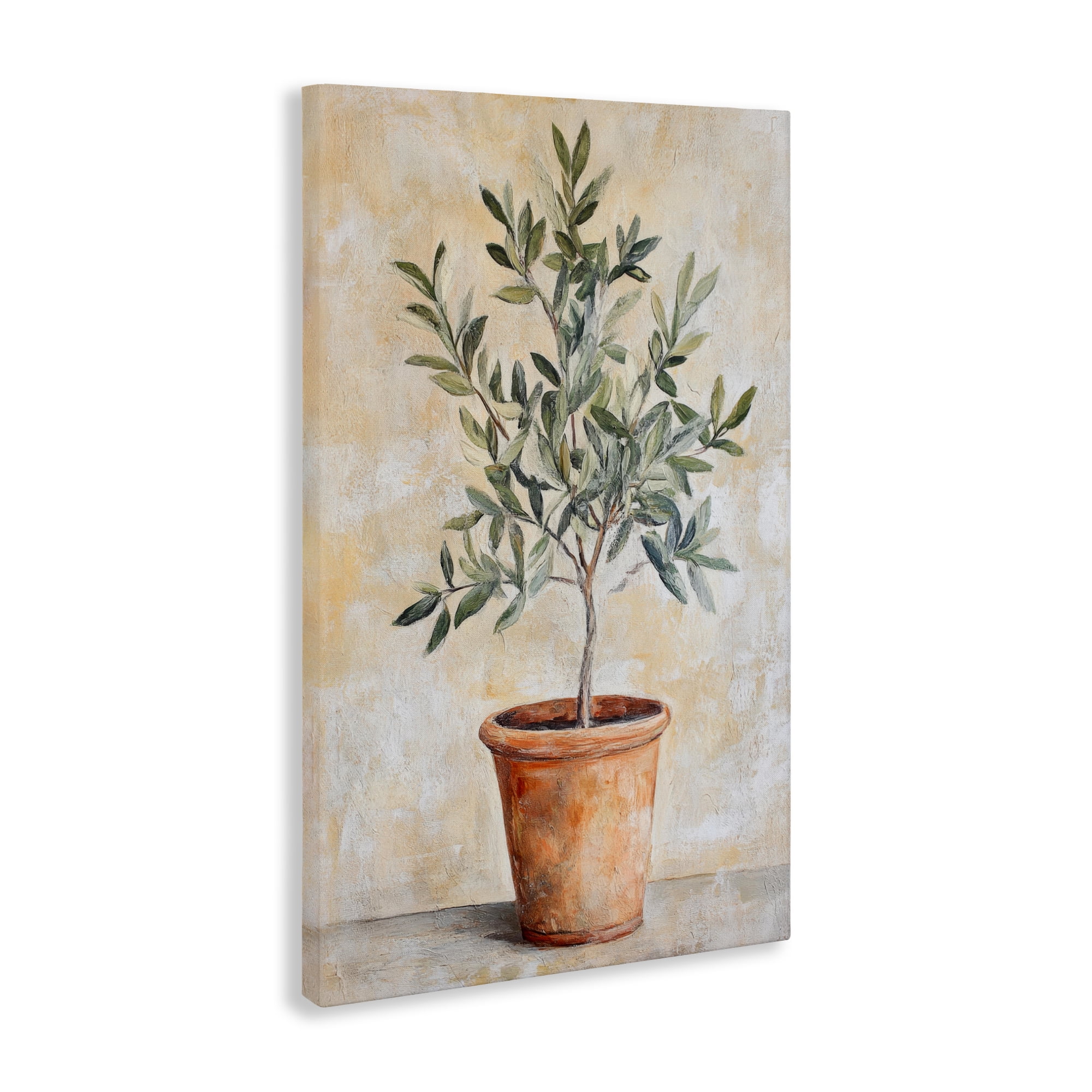 Stupell Industries House Plant in Terracotta Canvas Wall Art, design by Petal Prints Design