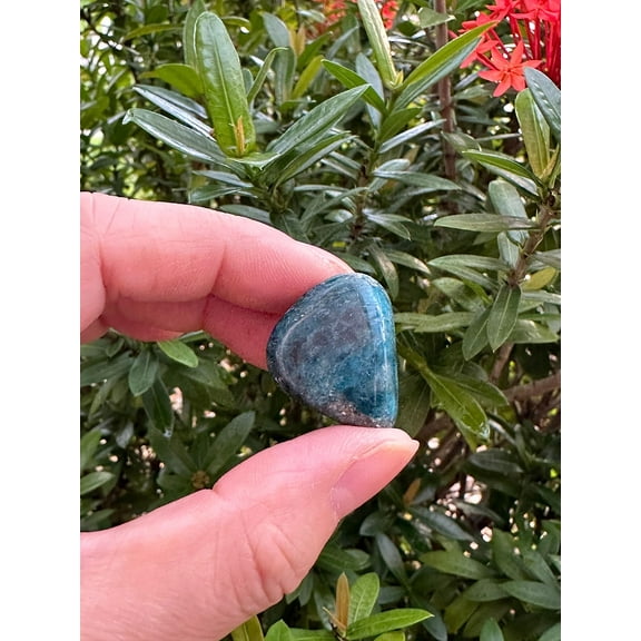 Apatite Tumbled Stones, Polished Apatite Gemstone, Apatite Healing Crystals (Apatite, 1 Pound)
