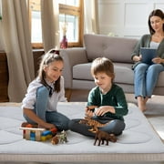 Slsy Japanese Floor Mattress Futon Mattress, Twin Size 39x 80 Foldable Mattress, Roll Up Mattress Sleeping Tatami Mat Floor Lounger Guest Bed