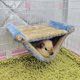 thumbnail image 2 of Small Animal Hanging Hammock Bed Soft Warm Double Layer Small Pet Cage Hammock for Squirrel Hamster Golden Hamster L Blue, 2 of 4