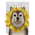 thumbnail image 2 of Fab Funky 12x14 Gold Ornate Wood Framed with Double Matting Museum Art Print Titled - Husky Sunflower, 2 of 4