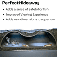 thumbnail image 5 of Aquarium Underground Tunnel Cave Natural Curve Two Hole | Viewing Fish & Shrimp Under Gravel Tunnel | Fish Tank Decor Decoration Hideout Perfect for Corydora Catfish, Kuhli Loach, Pleco, 5 of 8