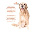 thumbnail image 2 of Alimento Para Perro Iron Dog Super Premium Senior 15 Kg, 2 of 3