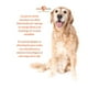 thumbnail image 2 of Alimento Para Perro Iron Dog Super Premium Senior 15 Kg, 2 of 3