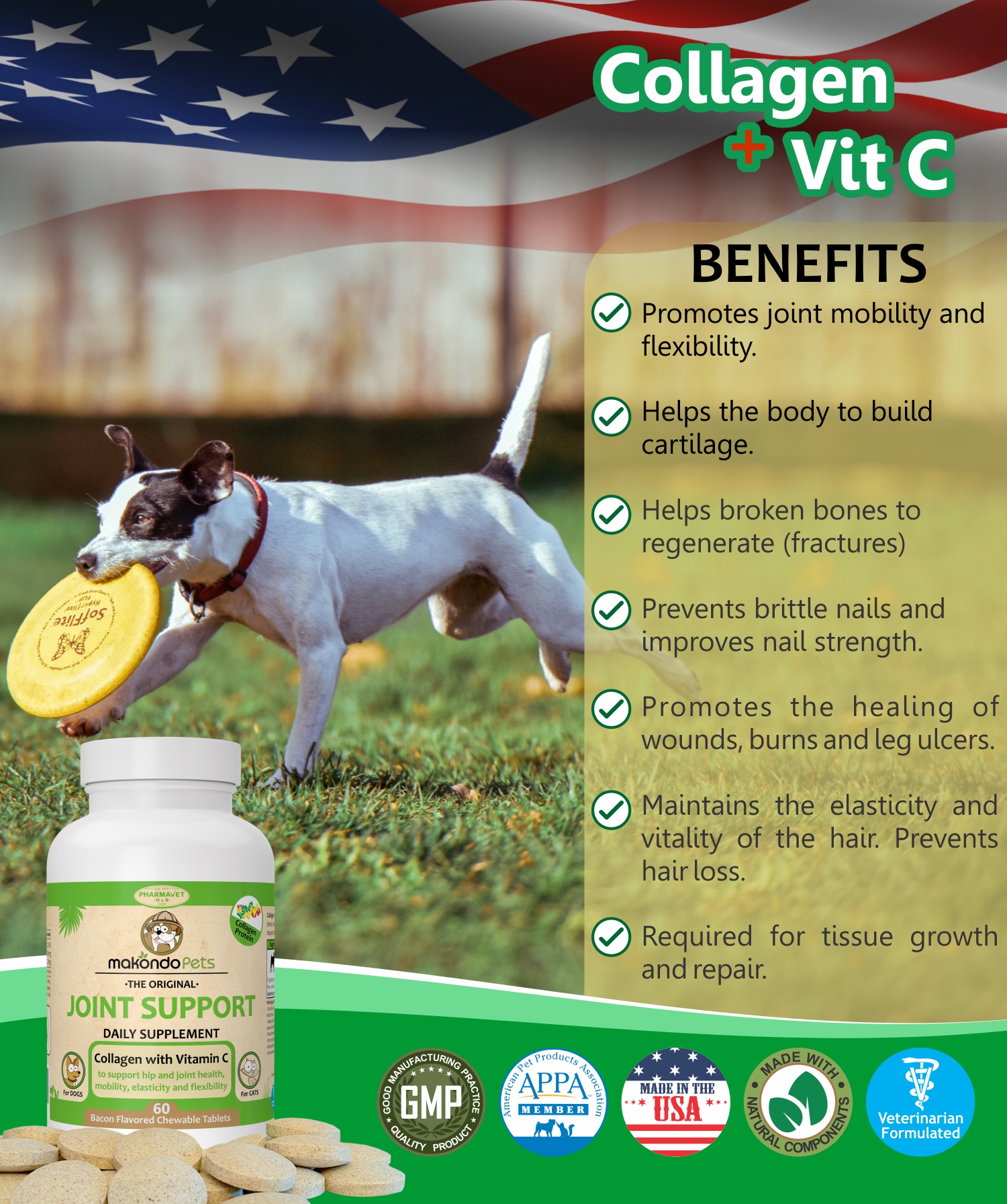 dog brittle nails supplement