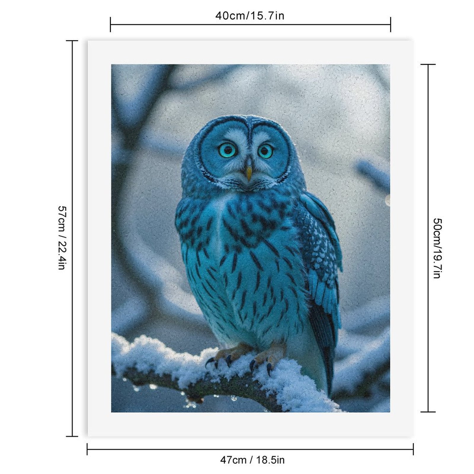 Paint by Numbers Kit for Adults, Blue Owl Snowy Branch Winter Paint by Numbers, Easy Paint by Numbers Kit for Adults Beginner, DIY Adult Paint by Number Kits on Canvas, Home Decor
