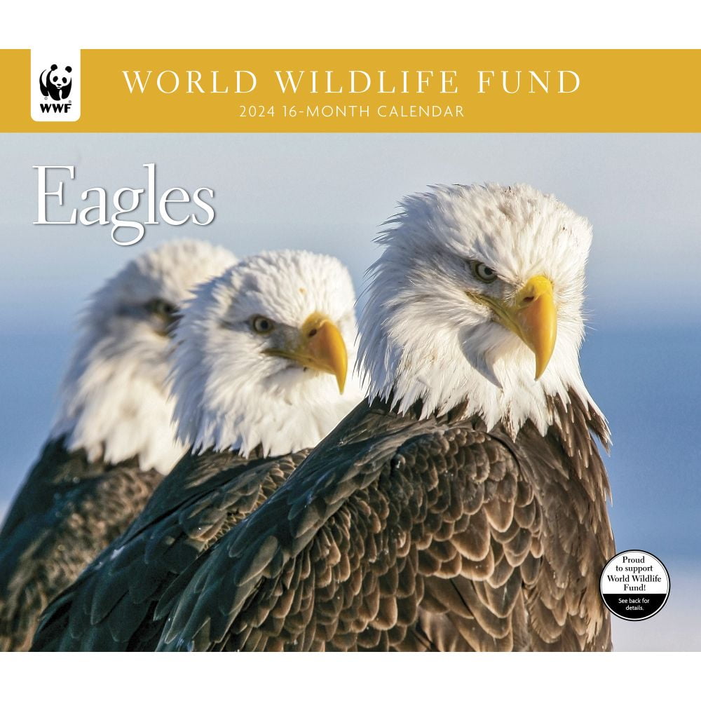 Calendar Ink, Eagles WWF 2024 Wall Calendar