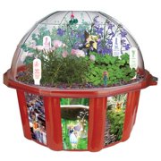 Fairy Garden Kits: Triad Dome Terrarium
