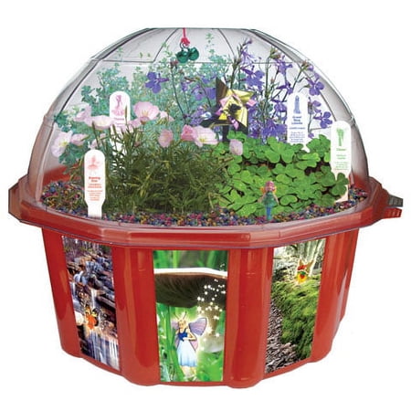 Fairy Garden Kits: Triad Dome Terrarium