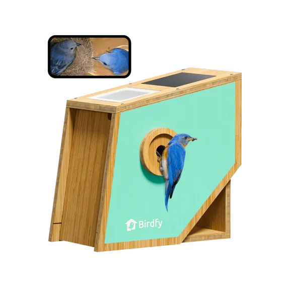 Birdfy Smart Bird Houses for Outside Solar Powered, 1080P HD Live View Bird House with Camera, Perfect Viewing Bird Nesting and Hatching, Bird Feeder with Camera for Most Birds