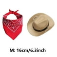 thumbnail image 2 of Pet Clothes Halloween For Cats Cowboy With Hat And Bandana For Holiday Party, 2 of 5