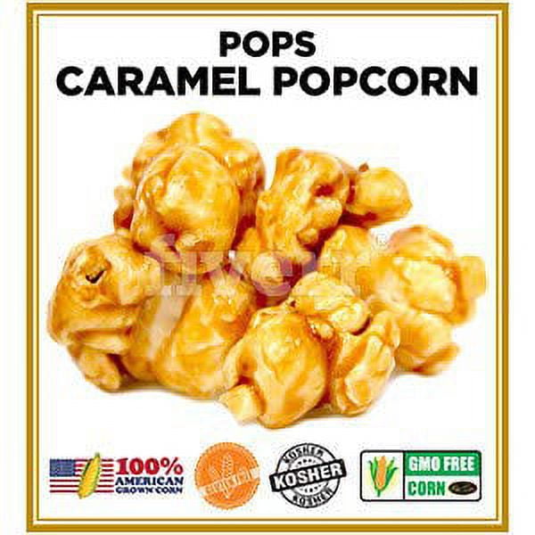 Signature Popcorn – 1-Gallon Gold Chicago Skyline Tin With Half Caramel & Half Cheddar Gourmet Popcorn, Gluten-Free, Non-GMO (Perfect Gift For Holidays, Parties)