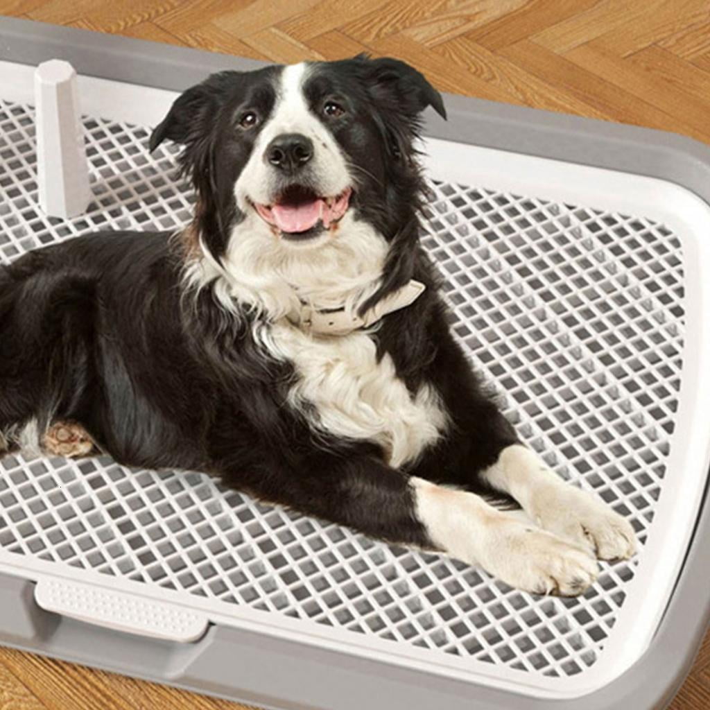 AOOOWER Oversized Dog Pee Pad With Stand Post For Indoor Use For Small Space