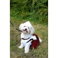 thumbnail image 6 of Pets First College Boston College Eagles Cheerleader, 3 Sizes Pet Dress Available. Licensed Dog Outfit, 6 of 6
