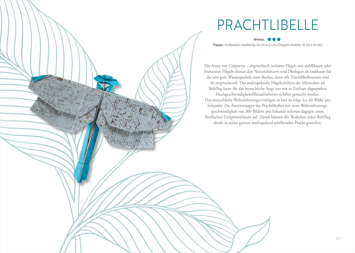 Jens-Helge Thülen- Origami: Bee, Bug und Butterfly: Zauberhafte Insekten zum Nachf (Paperback)