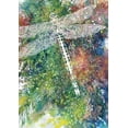 thumbnail image 2 of Wickstrom, Martin 14x18 Black Ornate Wood Framed with Double Matting Museum Art Print Titled - Dragonfly, 2 of 4