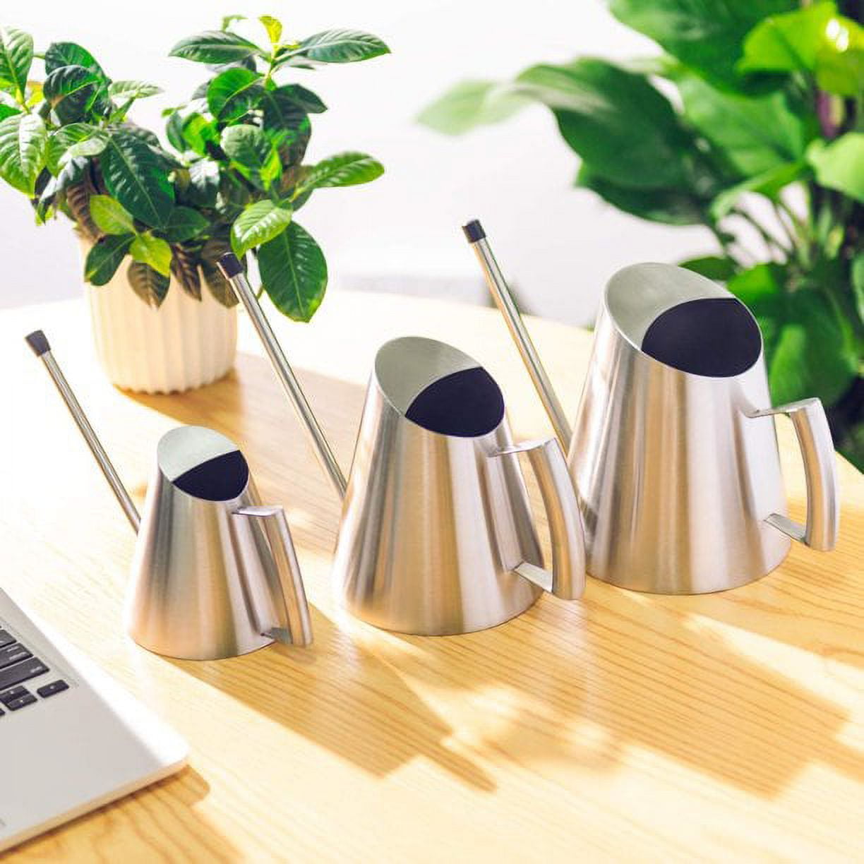 FZFLZDH Watering Can SUS304 Stainless Steel Indoor House Plants Long Spout,Small Stainless Steel Plant Watering Can， 30oz / 900ml
