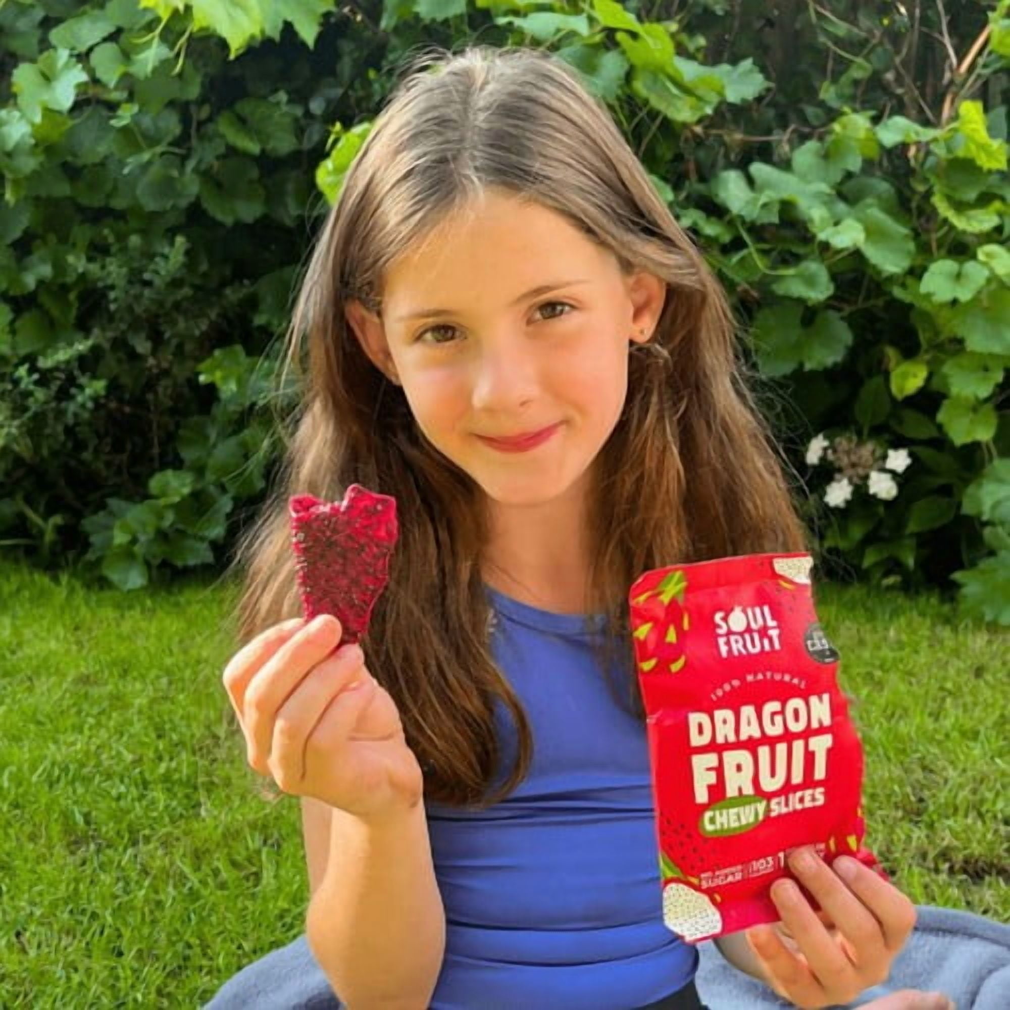 Soul Fruit Soft Dried Dragon Fruit 30g, British Import (Pack of 2)