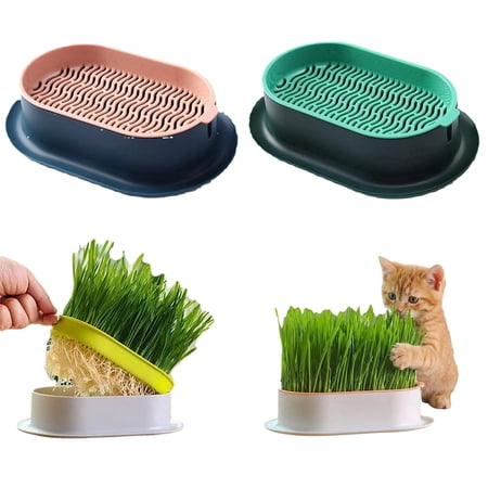 Cat Grass Planter for Indoor Cats (No Seeds Included) Hydroponic Pet Grass Seeds Growing Trays Soilless Wheatgrass Planting Pot