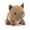 Wild boar-5.91in, variant on Fluffy Crazy Plush Toy, Fuzzy Novelty Stuffed Figure, Fun Textured Comfort Companion, Decorative Accent Pillow for Home Display
