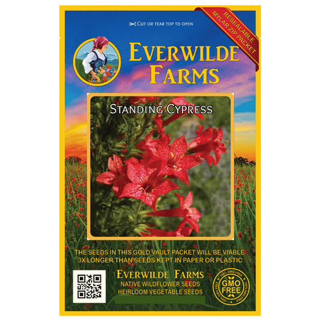 - Everwilde Farms - 1200 Standing Cypress Native Wildflower Seeds - Gold Vault Jumbo Bulk Seed Packet