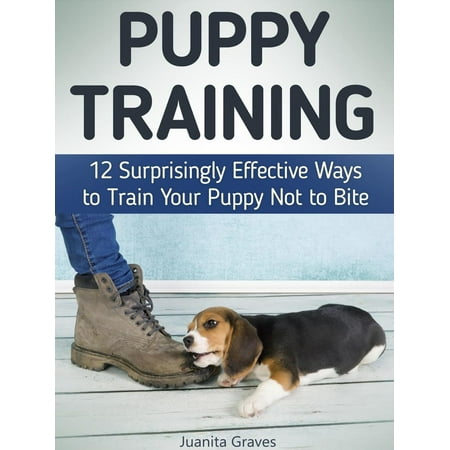 Puppy Training: 12 Surprisingly Effective Ways to Train Your Puppy Not to Bite - (Best Way To House Train A Puppy In An Apartment)