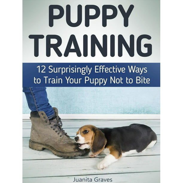 Puppy Training 12 Surprisingly Effective Ways to Train