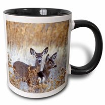 3drose, California, Mule Deer Wildlife - Us05 Bja0206 - Jaynes Gallery, 11oz Two-tone Black Mug