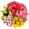 Fresh-Cut Extra Large Premium Rose Bouquet, 17 Stems, Colors Vary