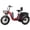 Red, variant on PUCKIPUPPY 20" Electric Tricycle for Adults 110Mile Range Dual Battery Electric Trike 960W Peak 20 mph Fat Tire E Trike 3 Wheel Ebike 48V 17.4AH+15AH Battery E-Mountain Bike,Comply with UL2849 by SGS
