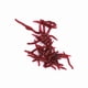 thumbnail image 1 of Paquete de 50 Cebos de Pesca Rojos para Cartas y Lubinas, Insectos Blandos, Lombrices de Tierra Falsas, Cebo Marino, Señuelos de Gusanos de Sanzre, Cebos Artificiales,, 1 of 7