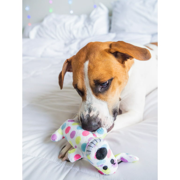 Multipet Plush Smiling Loofa Dog Toy, Small, Pastel Polka Dot