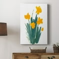 thumbnail image 5 of Daffodil Bunch II Premium Gallery Wrapped Canvas - Ready to Hang, 5 of 9