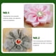 thumbnail image 3 of GOOHOCHY 200 piezas DIY Craft Rhinestones DIY Bow Tossress Decorations cosiendo materiales de bricolaje, 3 of 8