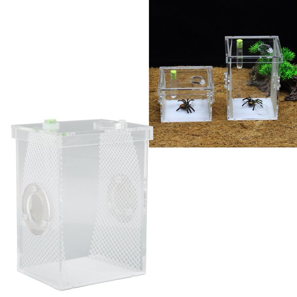 Sliding Door Terrariums For Reptiles Amphibians Reptile Pets Gecko Lizard Snake Top Screen