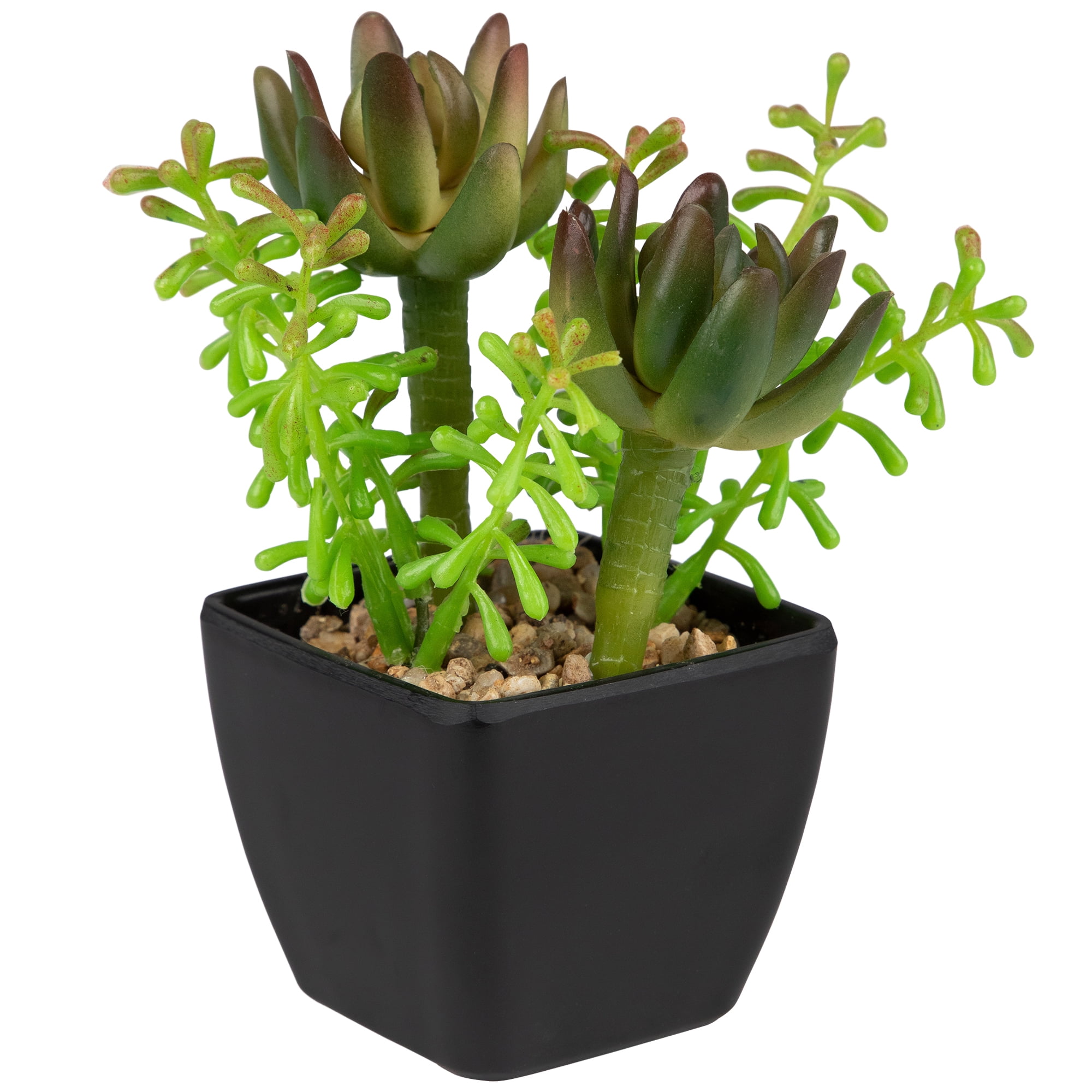Northlight Potted Artificial Succulent Arrangement - 6"
